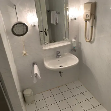 Hotel Windsor Dresde